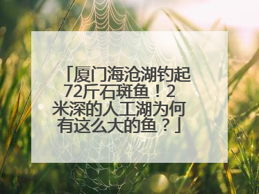 厦门海沧湖钓起72斤石斑鱼！2米深的人工湖为何有这么大的鱼？
