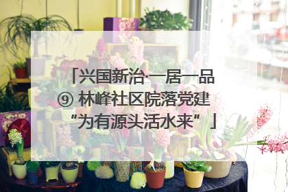 兴国新治·一居一品⑨ 林峰社区院落党建“为有源头活水来”