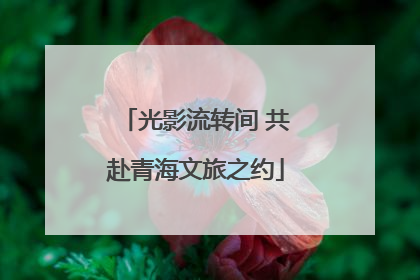 光影流转间 共赴青海文旅之约