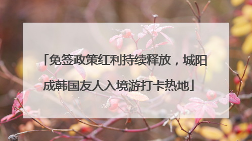 免签政策红利持续释放，城阳成韩国友人入境游打卡热地