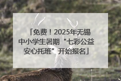 免费！2025年无锡中小学生暑期“七彩公益安心托班”开始报名
