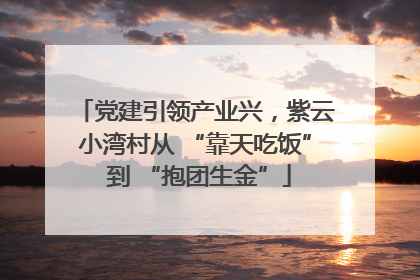 党建引领产业兴，紫云小湾村从 “靠天吃饭” 到 “抱团生金”