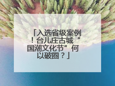 入选省级案例！台儿庄古城“国潮文化节”何以破圈？
