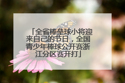 全省棒垒球小将迎来自己的节日，全国青少年棒球公开赛浙江分区赛开打