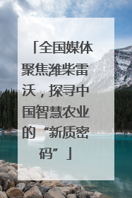 全国媒体聚焦潍柴雷沃，探寻中国智慧农业的“新质密码”