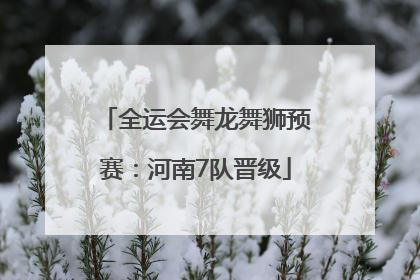 全运会舞龙舞狮预赛：河南7队晋级