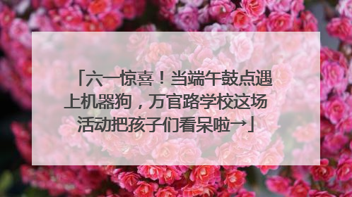 六一惊喜！当端午鼓点遇上机器狗，万官路学校这场活动把孩子们看呆啦→