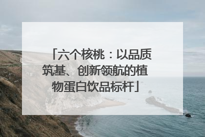 六个核桃：以品质筑基、创新领航的植物蛋白饮品标杆