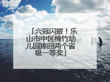 六冠闪耀！乐山市中区棉竹幼儿园捧回两个省级一等奖