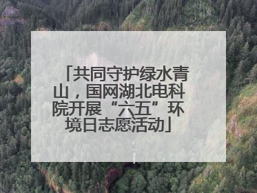 共同守护绿水青山，国网湖北电科院开展“六五”环境日志愿活动