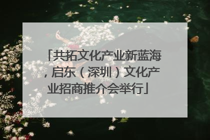共拓文化产业新蓝海，启东（深圳）文化产业招商推介会举行