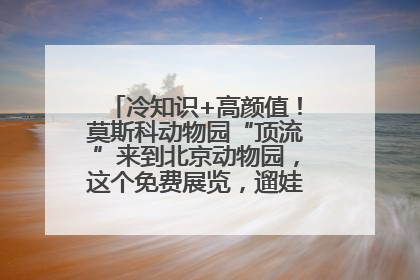 冷知识+高颜值！莫斯科动物园“顶流”来到北京动物园，这个免费展览，遛娃拍照两不误！