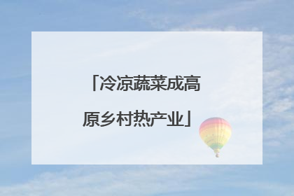 冷凉蔬菜成高原乡村热产业