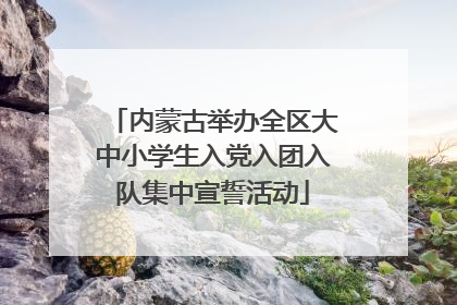 内蒙古举办全区大中小学生入党入团入队集中宣誓活动