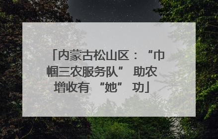 内蒙古松山区：“巾帼三农服务队” 助农增收有 “她” 功