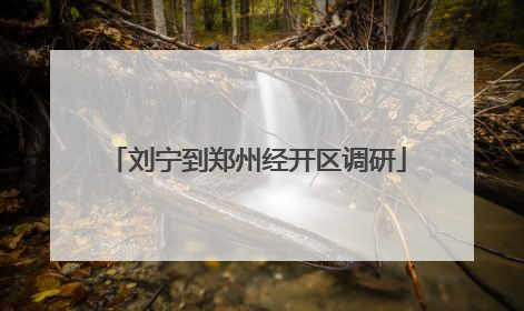 刘宁到郑州经开区调研