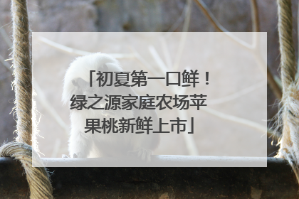 初夏第一口鲜！绿之源家庭农场苹果桃新鲜上市