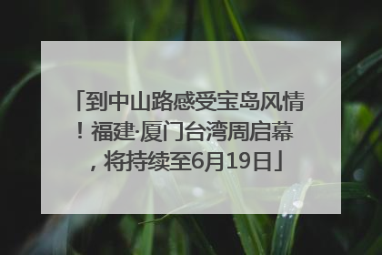 到中山路感受宝岛风情！福建·厦门台湾周启幕，将持续至6月19日