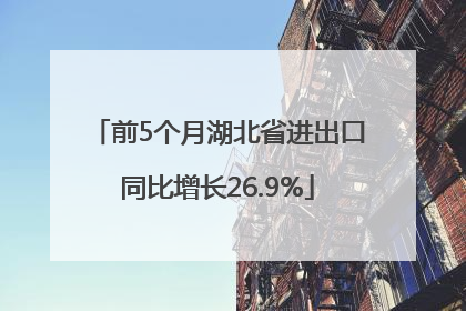 前5个月湖北省进出口同比增长26.9%