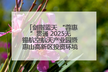 剑指蓝天 “蓉惠”贯通 2025无锡航空航天产业园暨惠山高新区投资环境推介会在成都举行