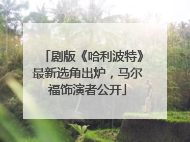 剧版《哈利波特》最新选角出炉，马尔福饰演者公开