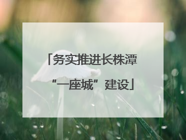 务实推进长株潭“一座城”建设