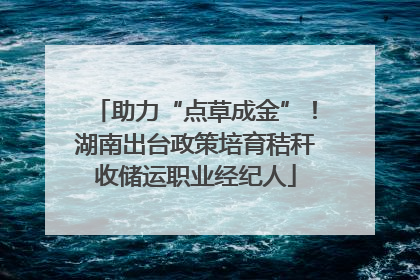 助力“点草成金”！湖南出台政策培育秸秆收储运职业经纪人