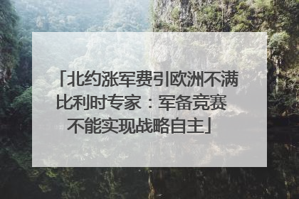 北约涨军费引欧洲不满 比利时专家：军备竞赛不能实现战略自主