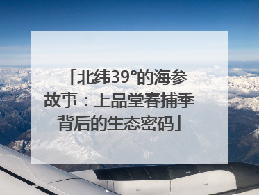 北纬39°的海参故事：上品堂春捕季背后的生态密码