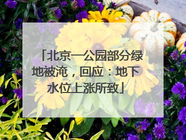北京一公园部分绿地被淹，回应：地下水位上涨所致
