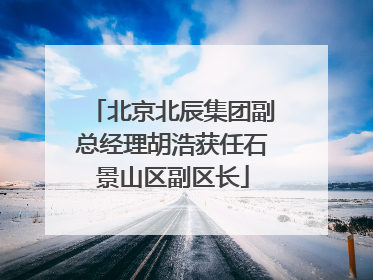北京北辰集团副总经理胡浩获任石景山区副区长