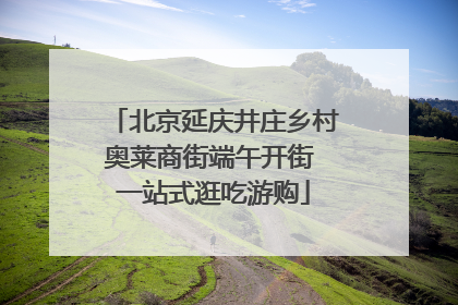 北京延庆井庄乡村奥莱商街端午开街 一站式逛吃游购