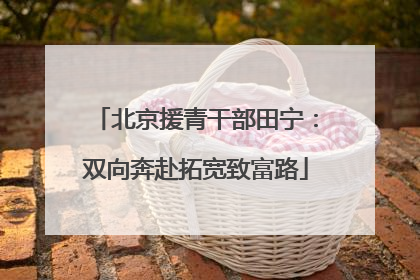 北京援青干部田宁：双向奔赴拓宽致富路