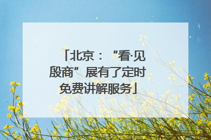 北京：“看·见殷商”展有了定时免费讲解服务