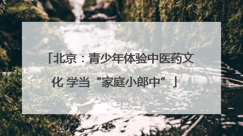北京：青少年体验中医药文化 学当“家庭小郎中”
