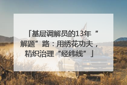 基层调解员的13年“解题”路：用绣花功夫，精织治理“经纬线”