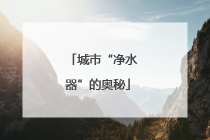 城市“净水器”的奥秘