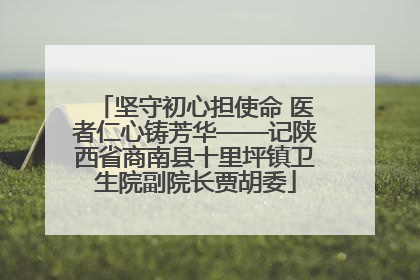 坚守初心担使命 医者仁心铸芳华——记陕西省商南县十里坪镇卫生院副院长贾胡委