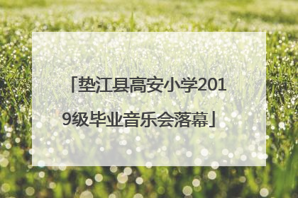 垫江县高安小学2019级毕业音乐会落幕