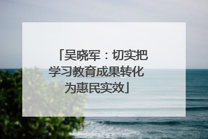 吴晓军：切实把学习教育成果转化为惠民实效