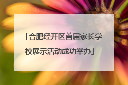 合肥经开区首届家长学校展示活动成功举办