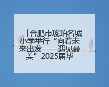 合肥市琥珀名城小学举行“向着未来出发——遇见最美”2025届毕业典礼