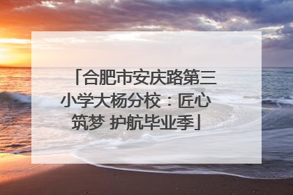 合肥市安庆路第三小学大杨分校：匠心筑梦 护航毕业季