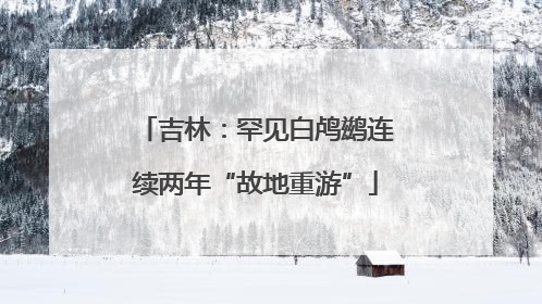 吉林：罕见白鸬鹚连续两年“故地重游”