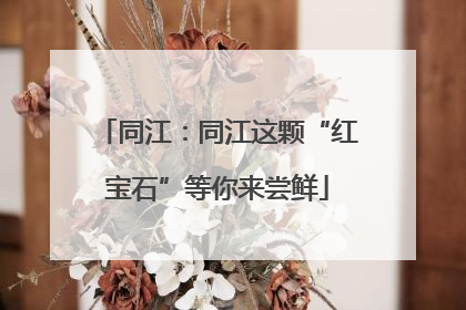 同江：同江这颗“红宝石”等你来尝鲜