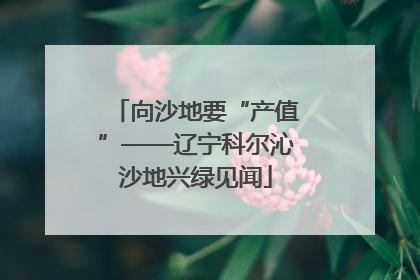 向沙地要“产值”——辽宁科尔沁沙地兴绿见闻
