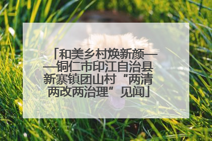 和美乡村焕新颜——铜仁市印江自治县新寨镇团山村“两清两改两治理”见闻