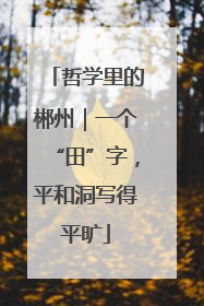 哲学里的郴州｜一个“田”字，平和洞写得平旷