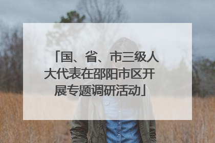 国、省、市三级人大代表在邵阳市区开展专题调研活动