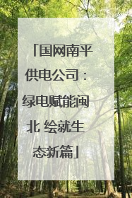 国网南平供电公司：绿电赋能闽北 绘就生态新篇